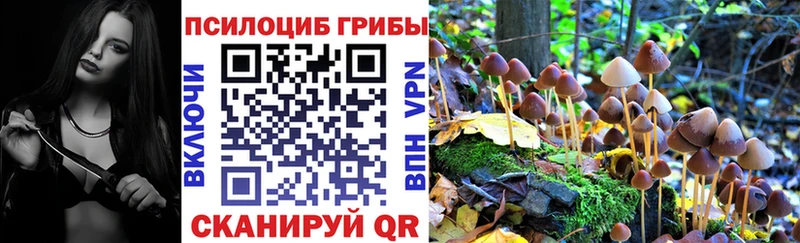 дарнет шоп  Кохма  Псилоцибиновые грибы Magic Shrooms 