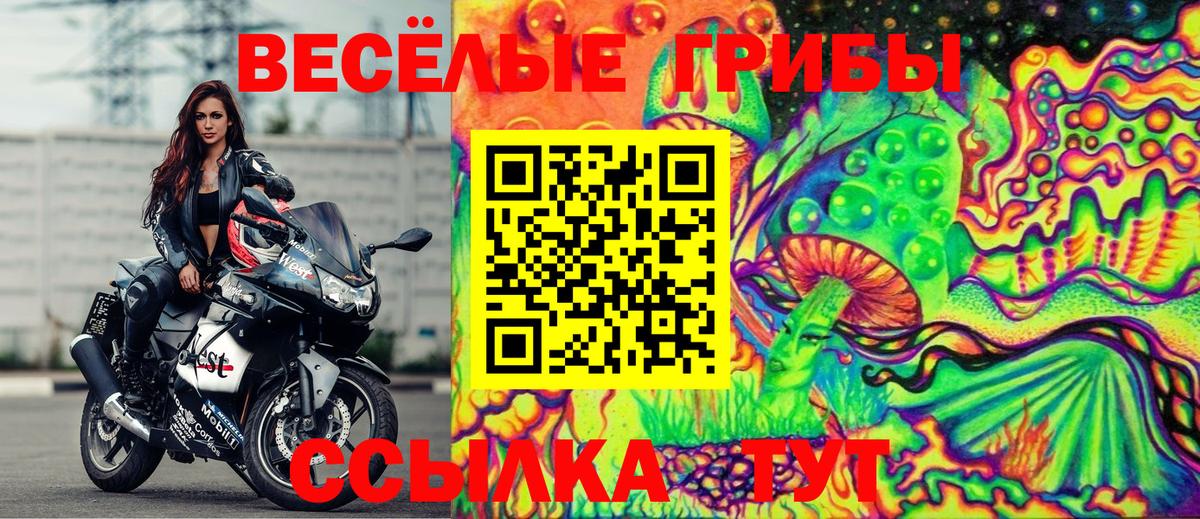 Галлюциногенные грибы Psilocybe Кохма