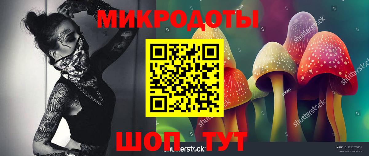 Кохма  купить наркотики цена  Вход с VPN  Галлюциногенные грибы Magic Shrooms 