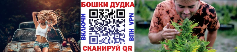 Конопля планчик  продажа наркотиков  Кохма 